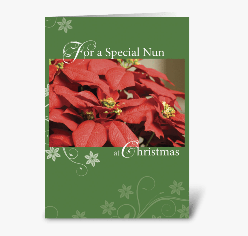Nun, Christmas Poinsettia, Red And Green Greeting Card - Poinsettia 2 Flower, HD Png Download, Free Download