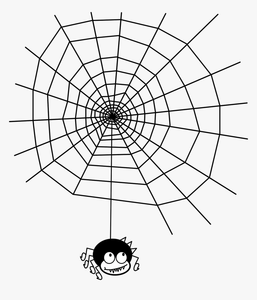 Maths In Spider Webs, HD Png Download, Free Download