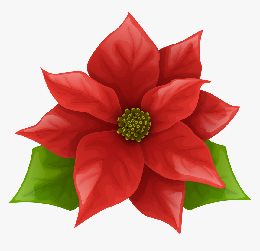 Poinsettia Clip Art, HD Png Download, Free Download