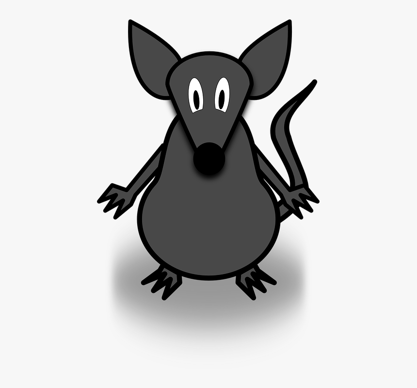 Mouse, Fear, Tail, Rat, Grey, Mice, Cartoon - Report Specialized Cutaneous Schwann Cells Initiate, HD Png Download, Free Download