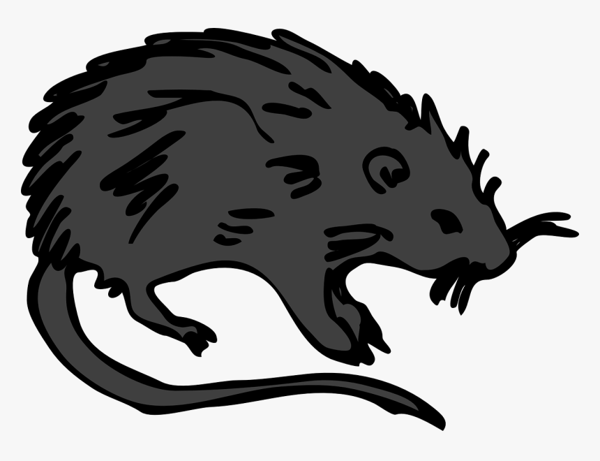 Transparent Death Clipart - Rat Clip Art, HD Png Download, Free Download