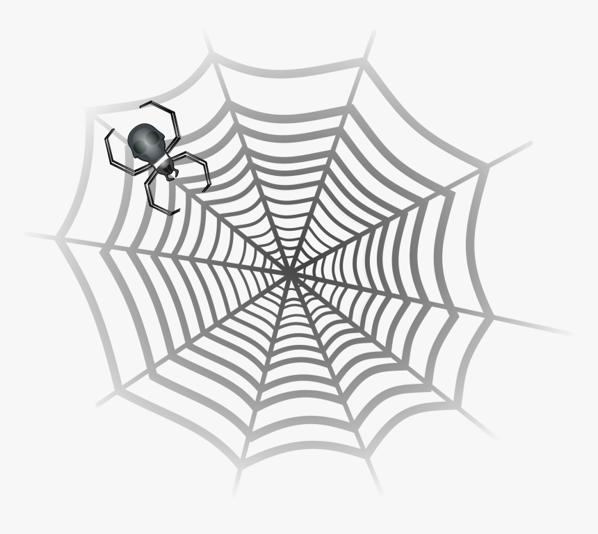 Clipart Spider Web - Karakalem Örümcek Ağı Çizimi, HD Png Download, Free Download