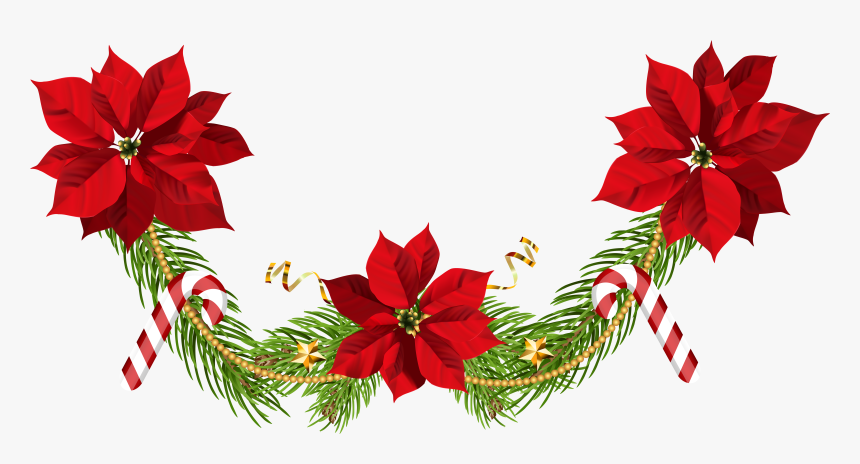 Transparent Christmas Wreath Clipart Png - Free Poinsettia Png Transparent, Png Download, Free Download