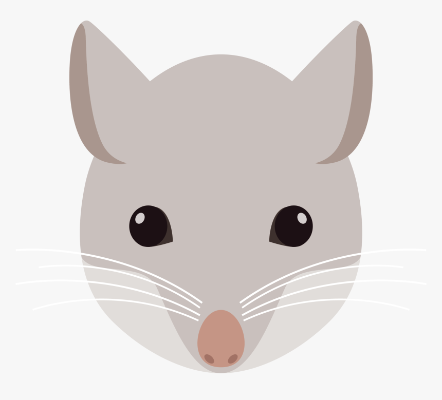 Rat Mouse Clip Art - Clip Art Mouse Head, HD Png Download, Free Download