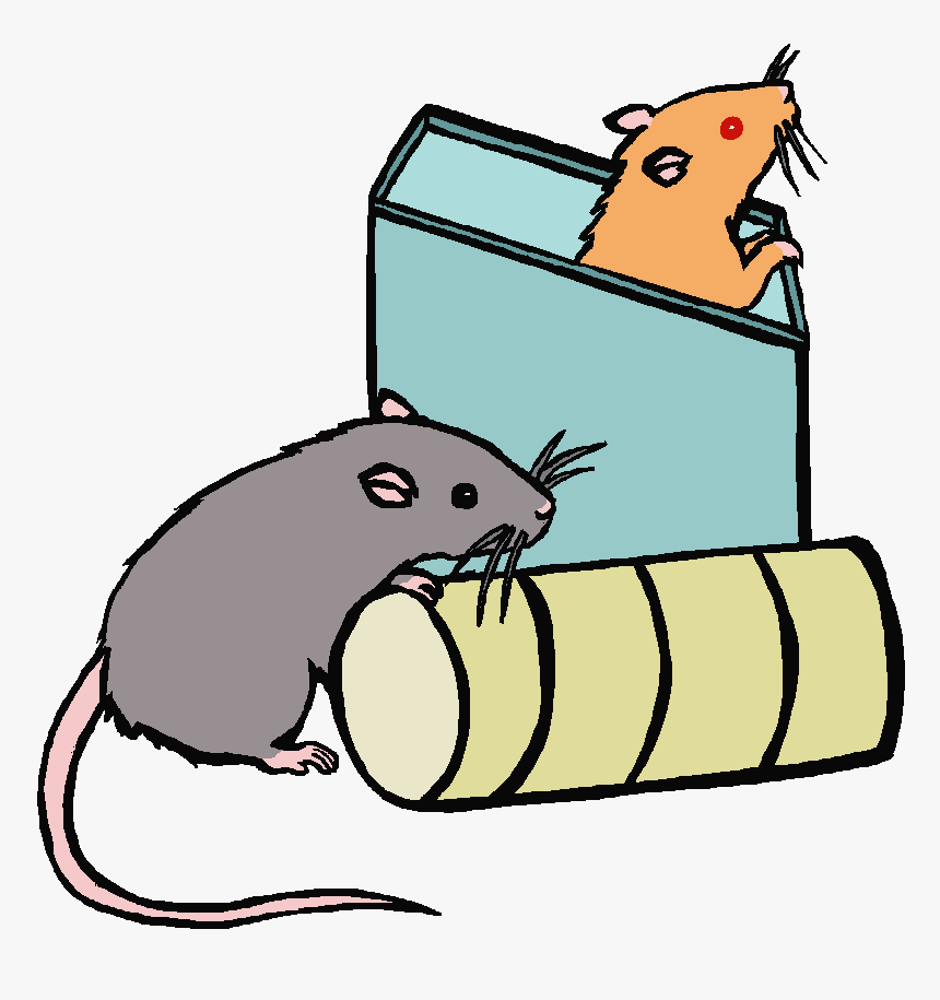 Cartoon Picture Of A Rat Free Download Clip Art - Rat In The Box Clipart, HD Png Download, Free Download