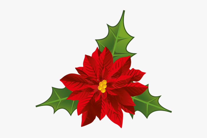 Poinsettia Flower Christmas Clip Art - Christmas Flower Png, Transparent Png, Free Download