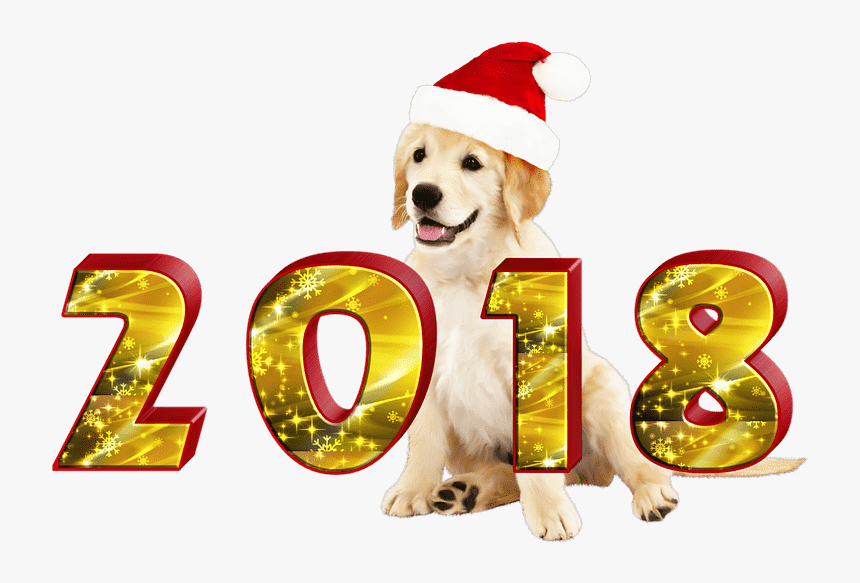Dog,canidae,golden Retriever,dog Breed,sporting Dog,fictional - Png New Year 2018, Transparent Png, Free Download