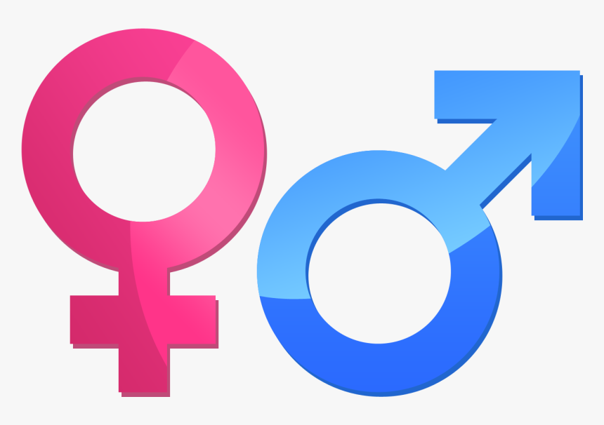 Male Female Symbol Png , Png Download - Male And Female Symbol Png, Transparent Png, Free Download