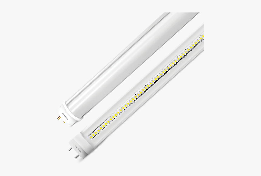 Electra - Fluorescent Lamp, HD Png Download, Free Download