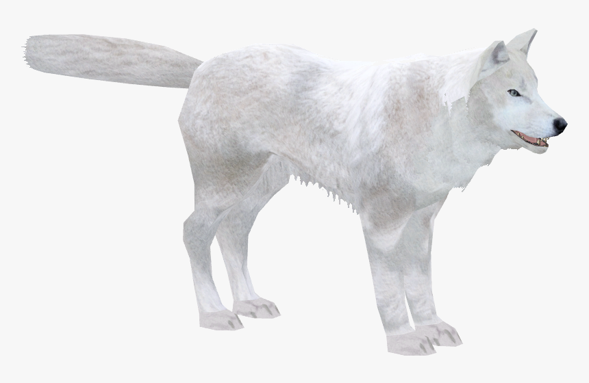 White Wolf Zoo Tycoon 2, HD Png Download, Free Download