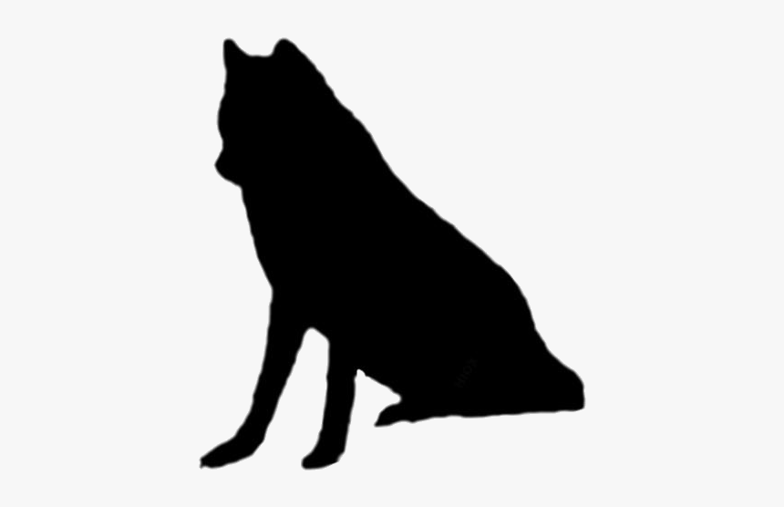 Transparent Wolf Png Image Clipart - Schipperke, Png Download, Free Download