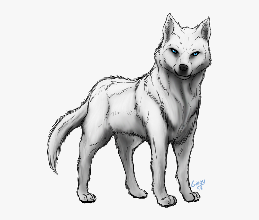 Collection Of Free Wolf Transparent Black And White - Czechoslovakian Wolfdog, HD Png Download, Free Download