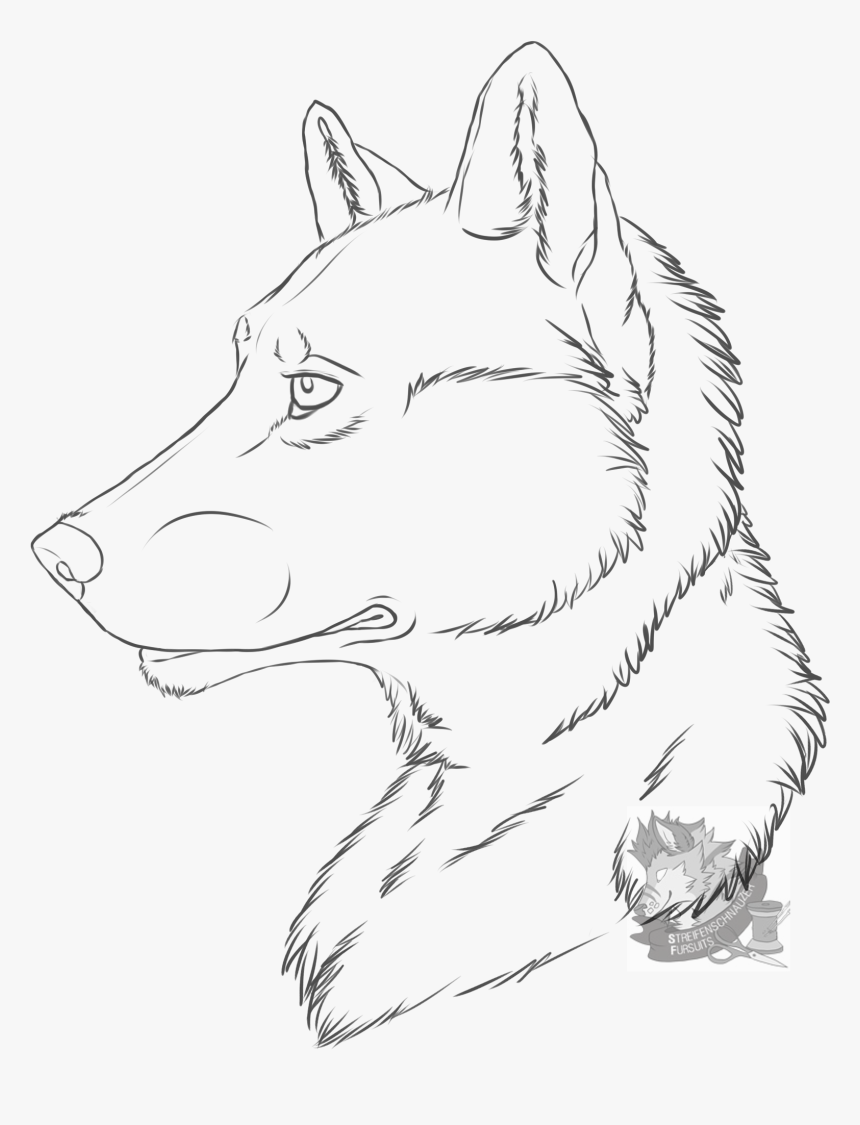 [drawings] Random Wolf - Drawing Art Line Wolf, HD Png Download, Free Download