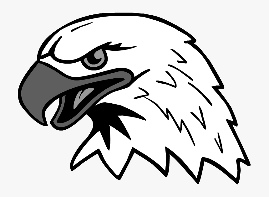 Eagle Head Vector Png - - Head Of Eagle Black Png, Transparent Png, Free Download