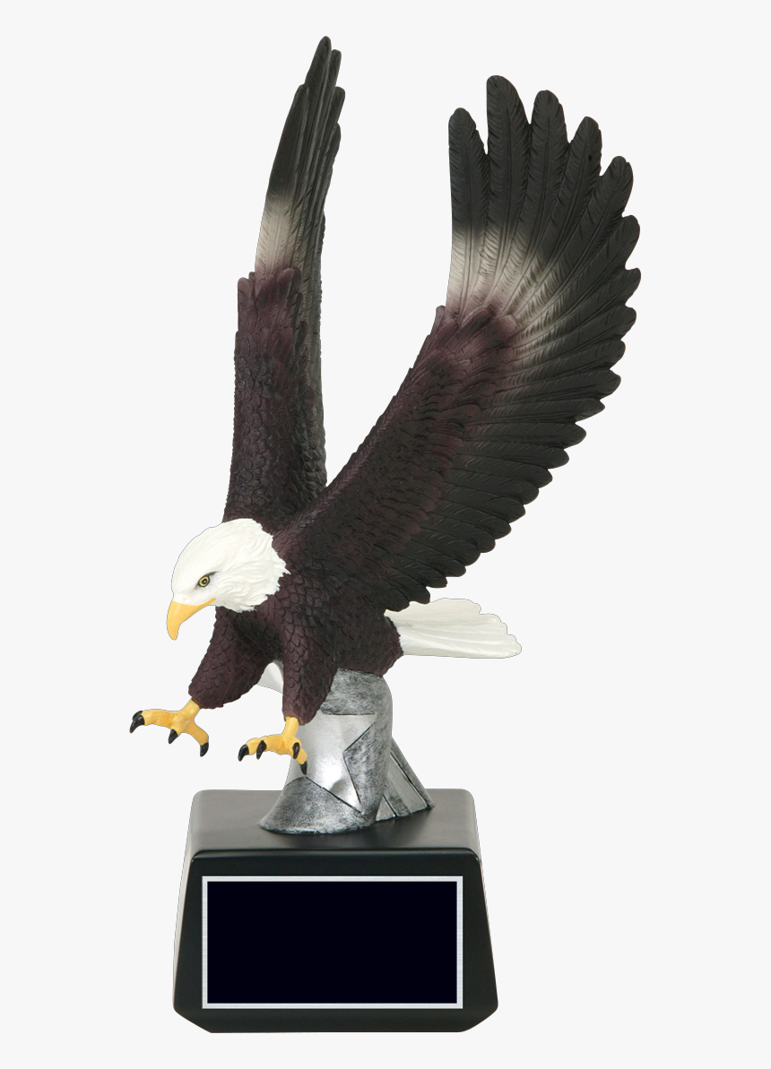 60455gs, HD Png Download, Free Download