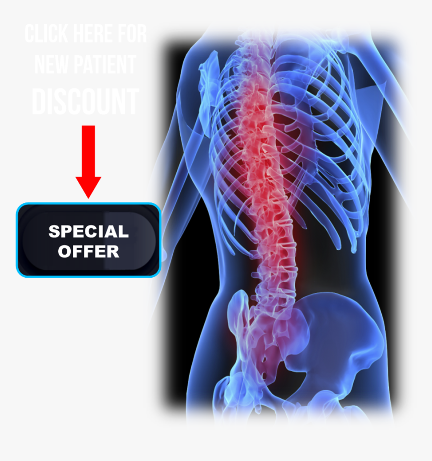 Image Of Spine And Offer Link Button - Human Metabolic Bone Disease, HD Png Download, Free Download