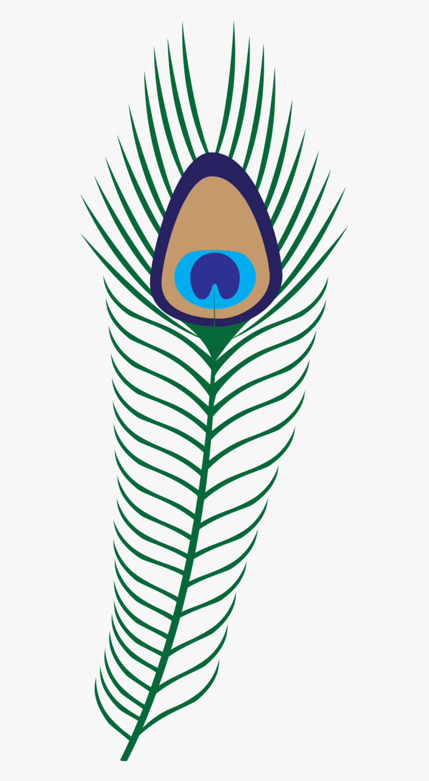 Transparent Background Png Format Peacock Feathers - Peacock Feather Clipart Png, Png Download, Free Download
