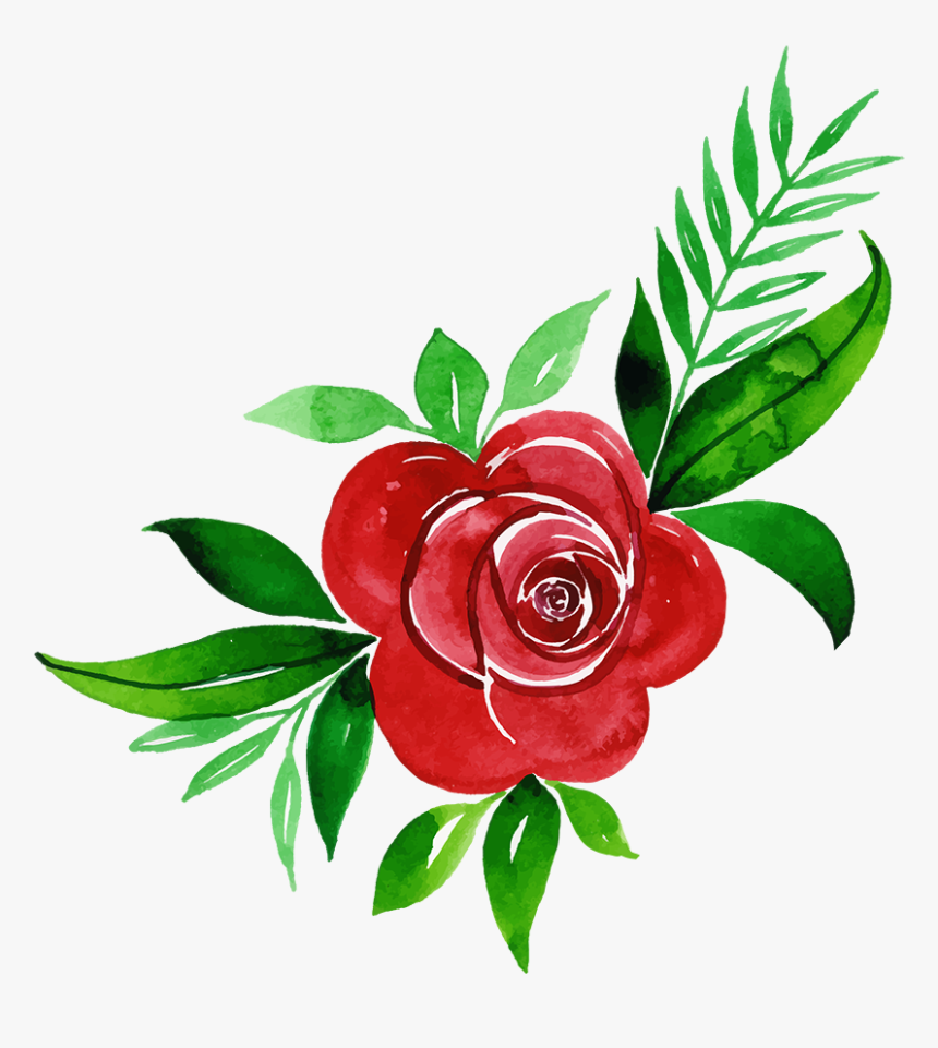 Japanese Camellia, HD Png Download, Free Download