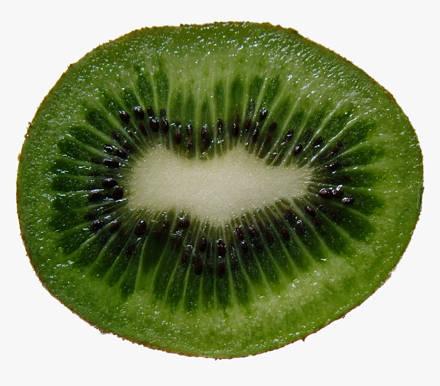 Green Cutted Kiwi Png Image - Kiwi Fruit Cross Section, Transparent Png, Free Download