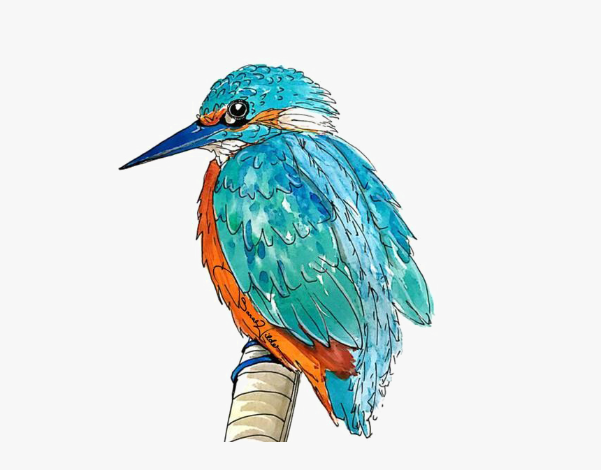Kingfisher Png Transparent Picture - Animal Kin Oracle Sarah Wilder, Png Download, Free Download