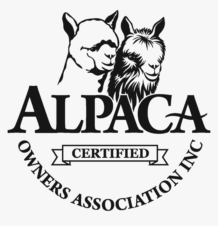 Alpaca, HD Png Download, Free Download