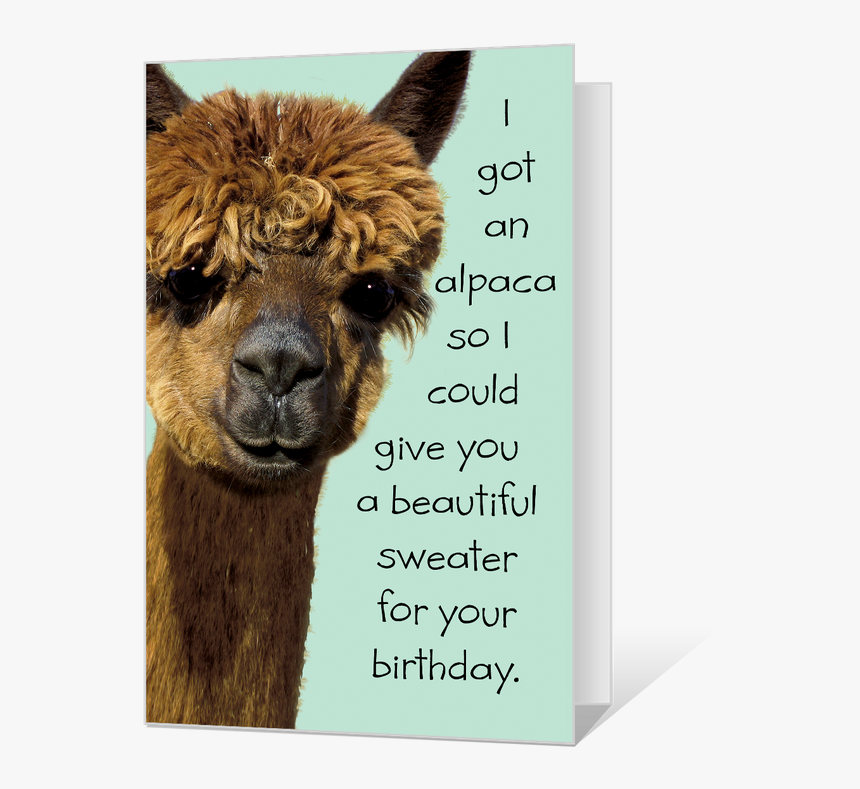 Birthday Alpaca Printable - Llama, HD Png Download, Free Download