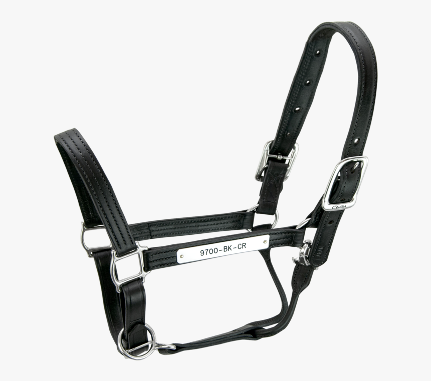 Kentucky Halter - - Black Halters For Horses, HD Png Download, Free Download