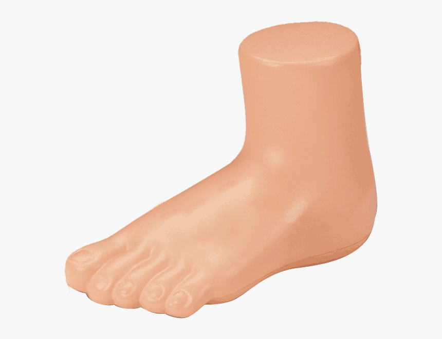Mannequin Shoe Sock Sandal Image Transparent Library - Mannequin Foot, HD Png Download, Free Download