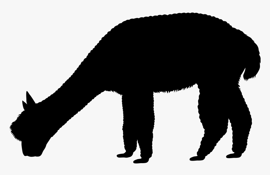 Giant Anteater, HD Png Download, Free Download