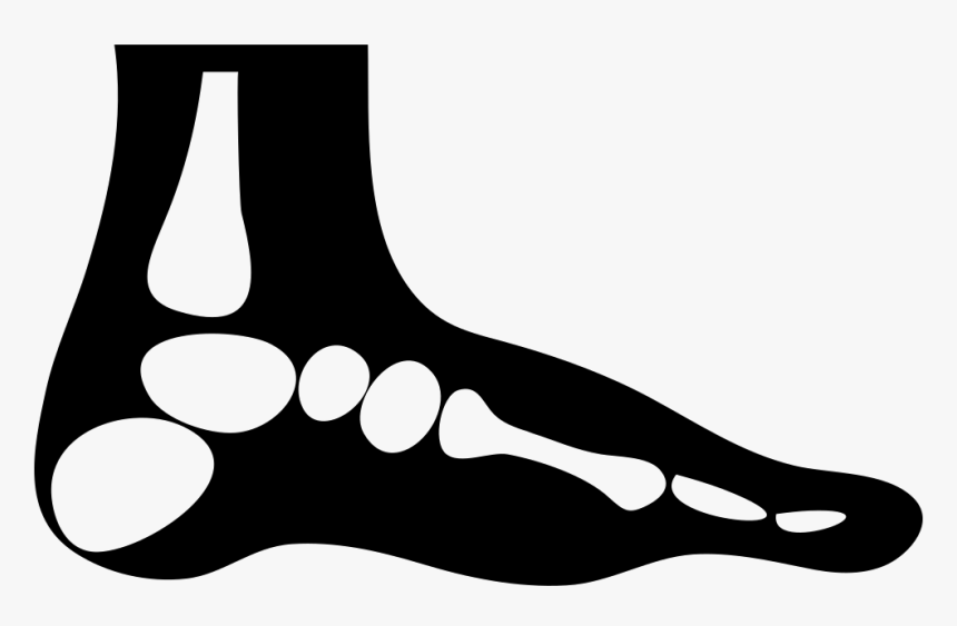 Foot - Illustration, HD Png Download, Free Download