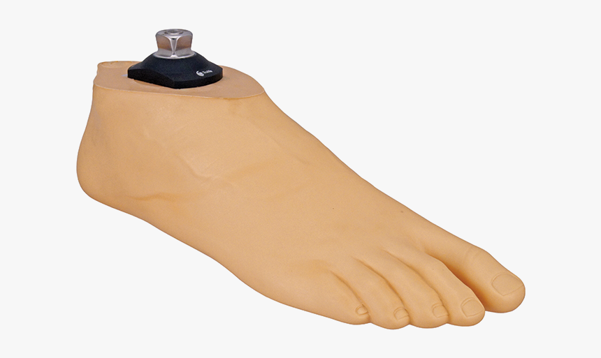 Foot Png, Transparent Png, Free Download