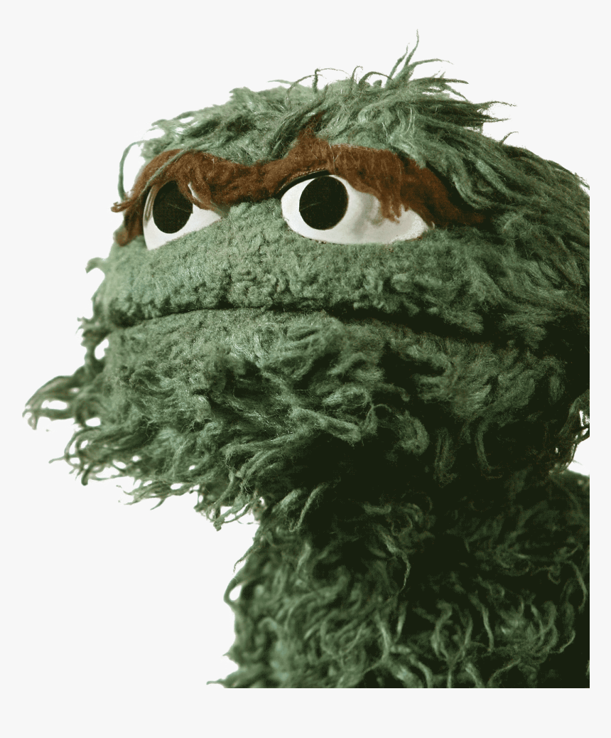 Oscar The Grouch Close Up - Oscar The Grouch, HD Png Download, Free Download