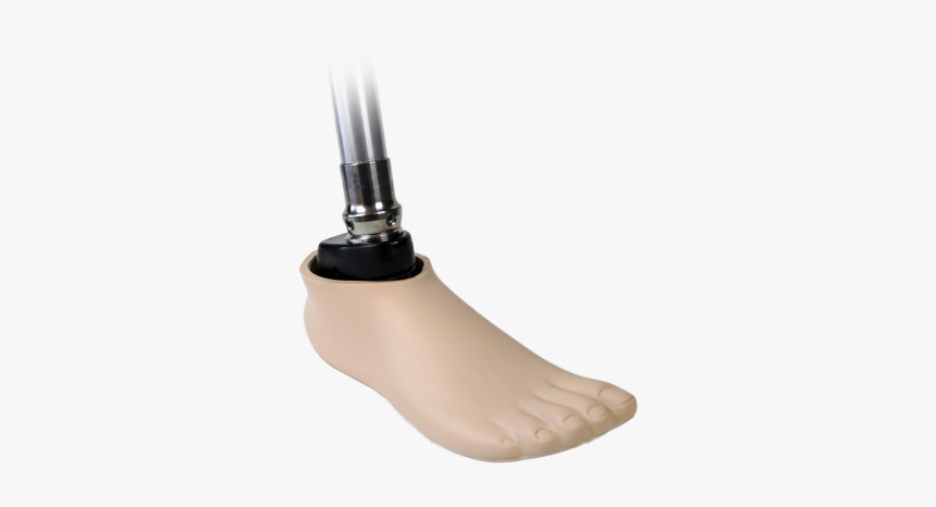 Foot Png, Transparent Png, Free Download