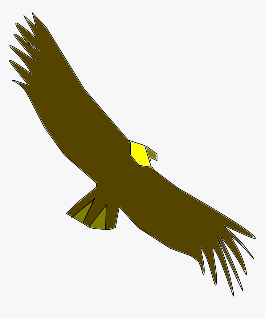 Vulture Png, Transparent Png, Free Download