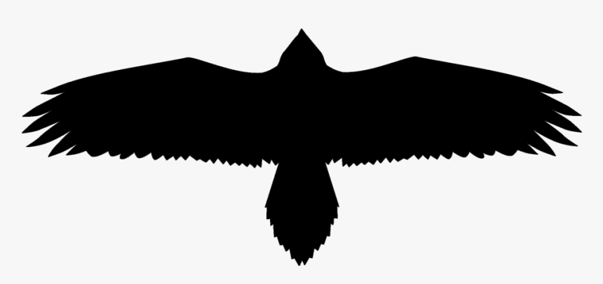 Vulture Png, Transparent Png, Free Download