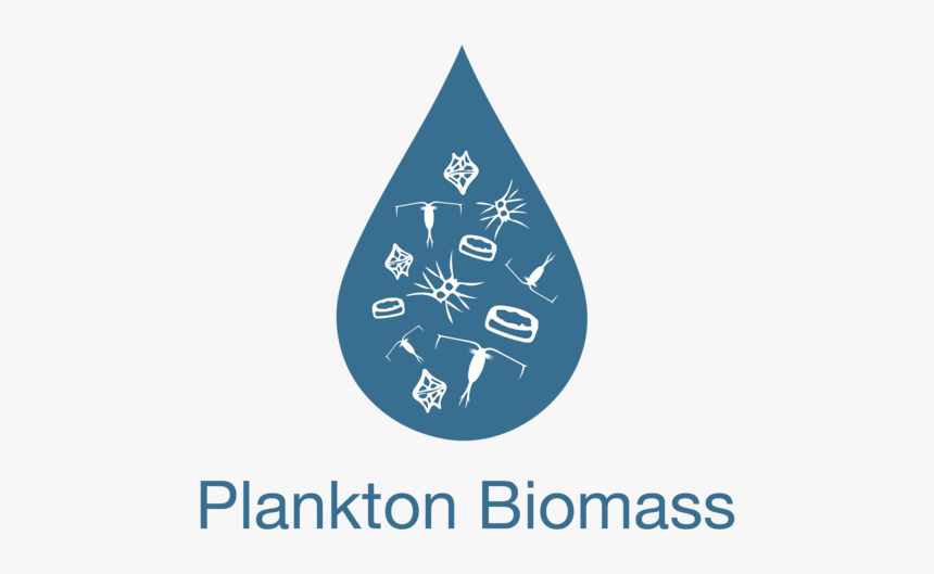 Plankton Biomass, HD Png Download, Free Download