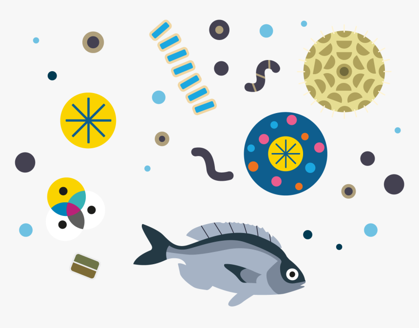 Fish And Plankton Illustration, HD Png Download, Free Download