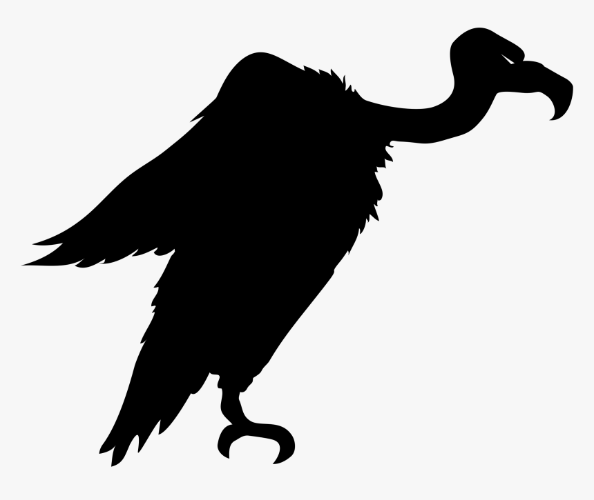 Bird Turkey Vulture Silhouette Clip Art, HD Png Download, Free Download