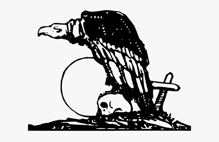 Vulture Png, Transparent Png, Free Download