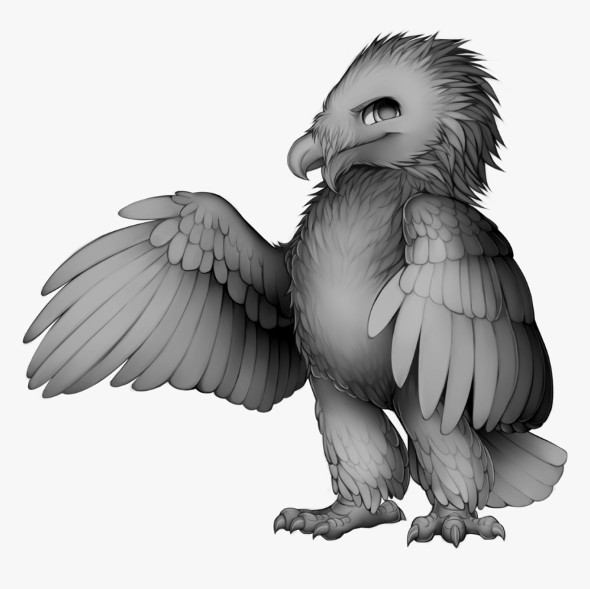 Transparent Vulture Clipart Black And White, HD Png Download, Free Download