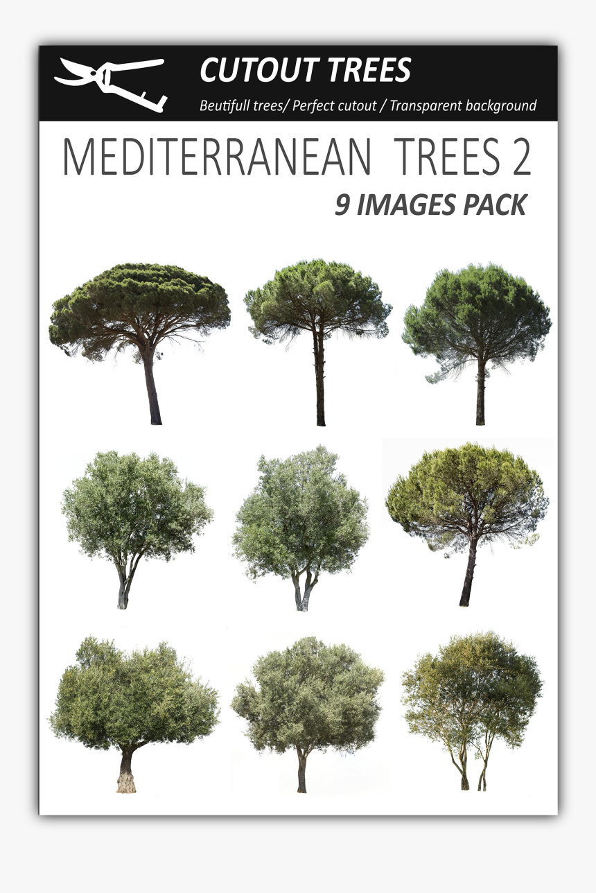 Vegetation Png, Transparent Png, Free Download