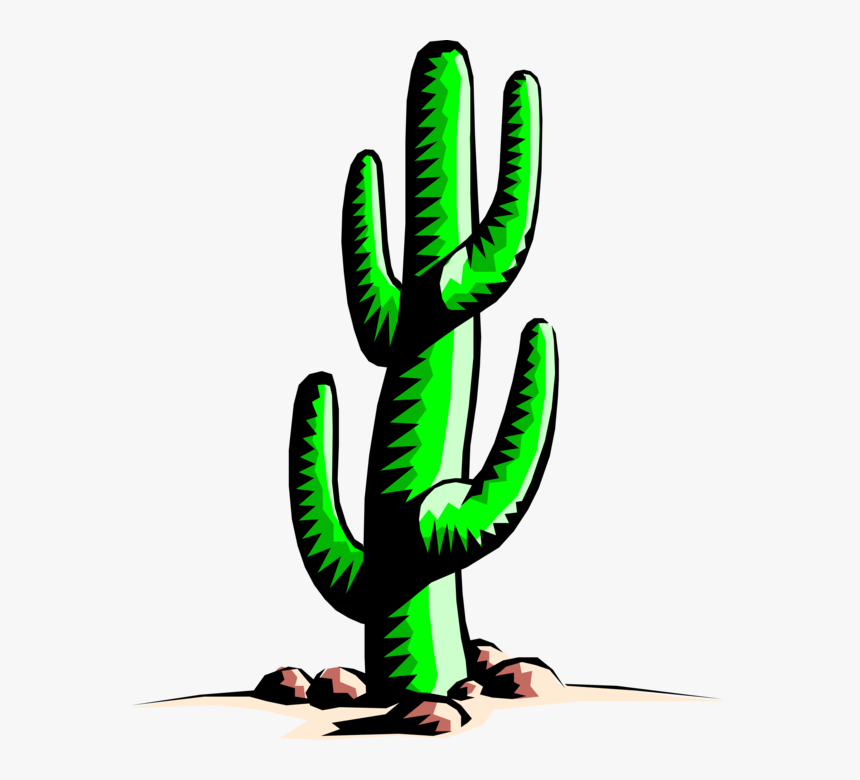Transparent Cactus Vector Png, Png Download, Free Download