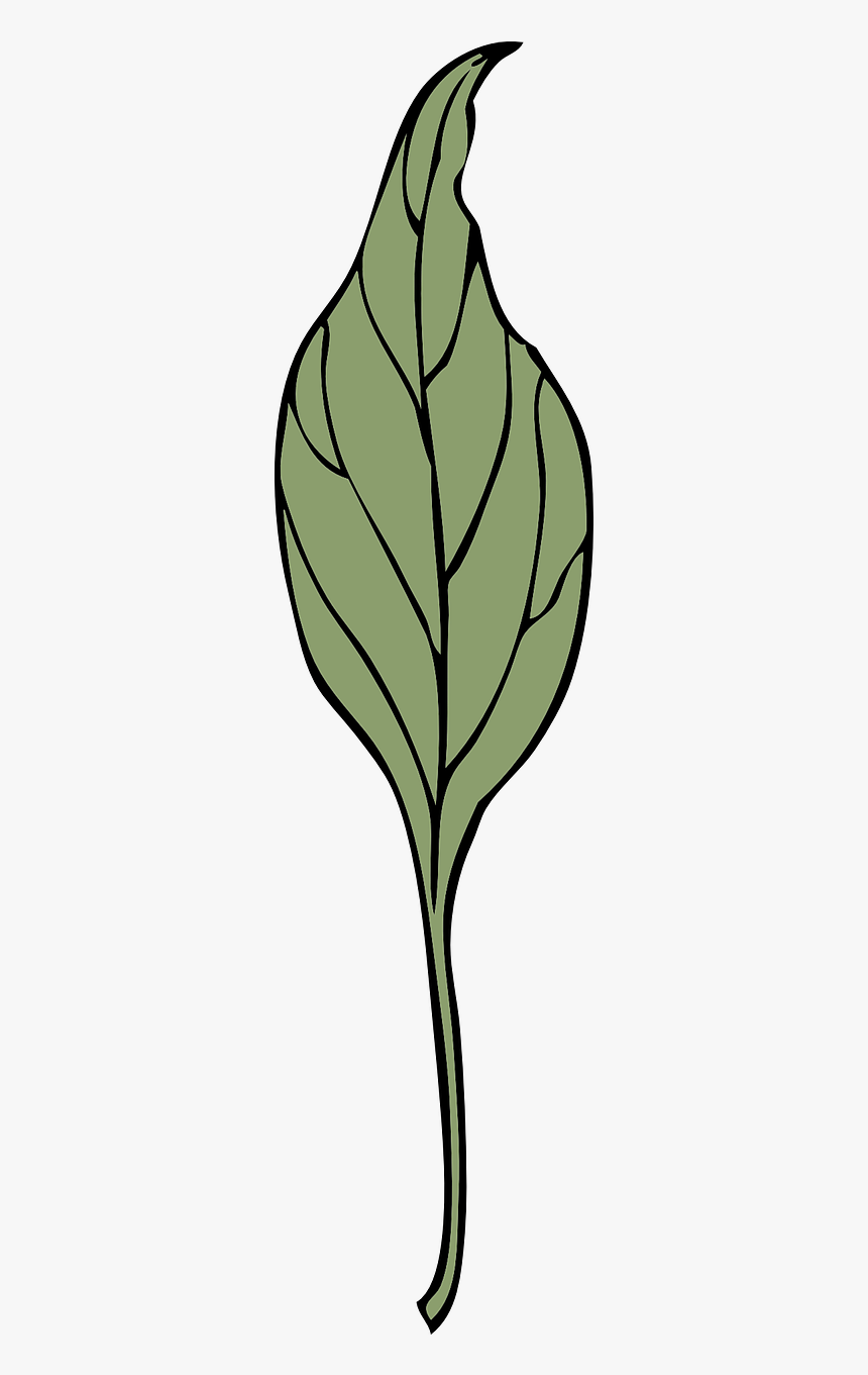 Vegetation Png, Transparent Png, Free Download