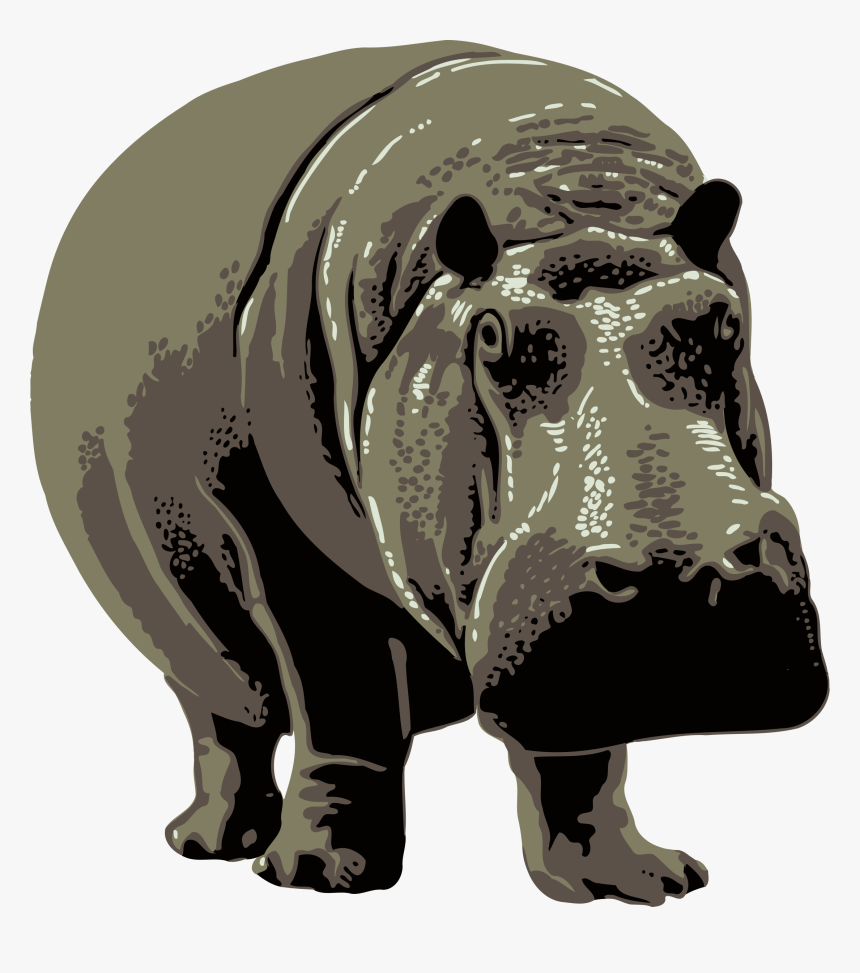 Hippopotamus, HD Png Download, Free Download