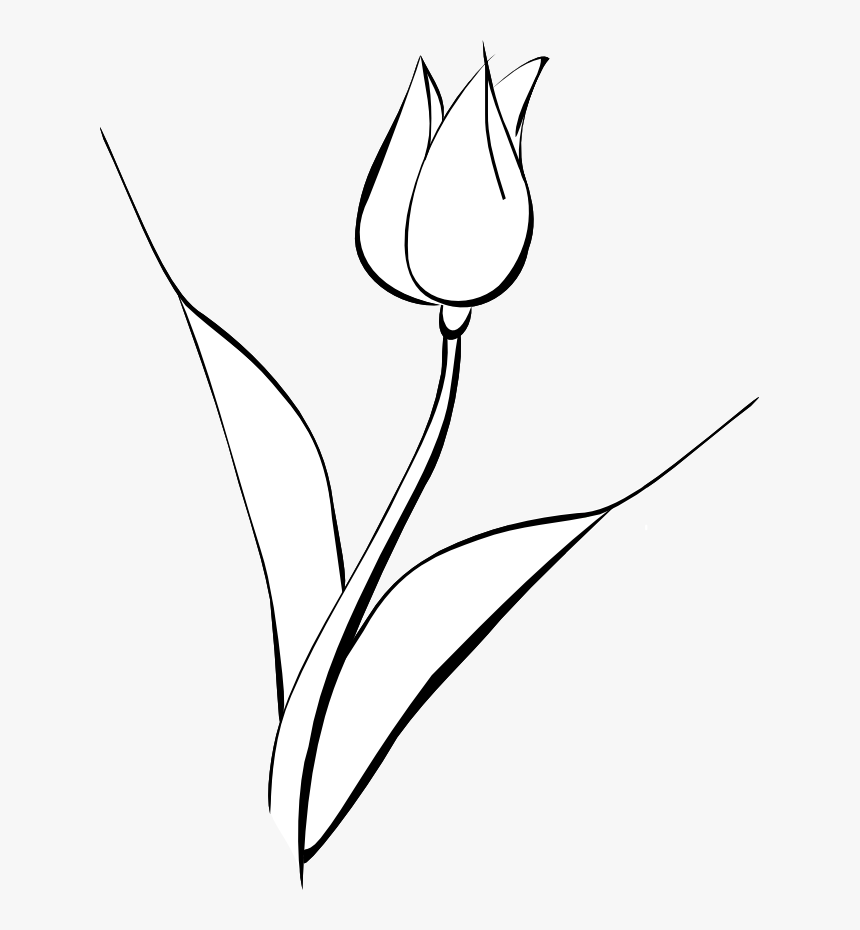 White Tulip Clip Art Noelle Nichols, HD Png Download, Free Download