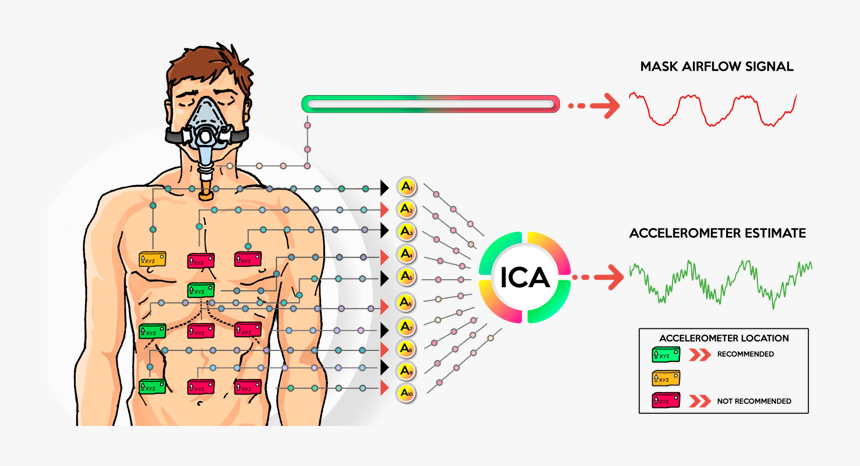 Respiratory Waveform Estimation From Multiple Accelerometers, HD Png Download, Free Download