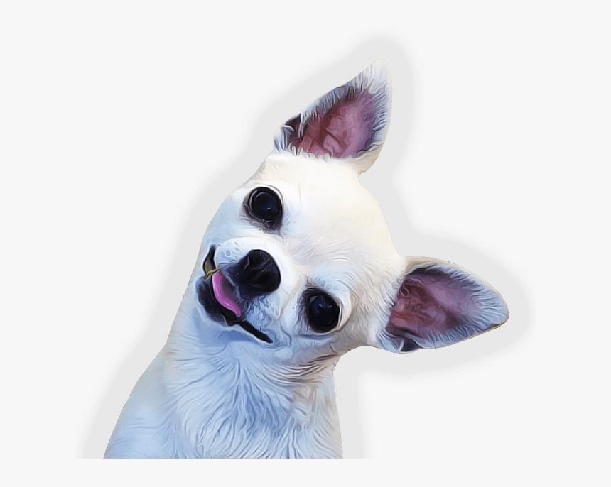 Chihuahua Face Side, HD Png Download, Free Download