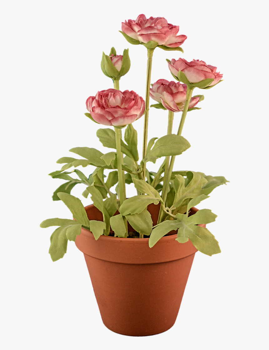 Transparent Transparent Background Flowerpot Free Picture, HD Png Download, Free Download