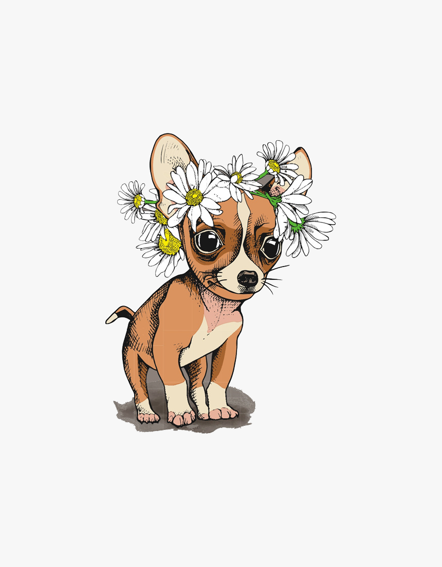 Chihuahua Puppy Euclidean Vector, HD Png Download, Free Download
