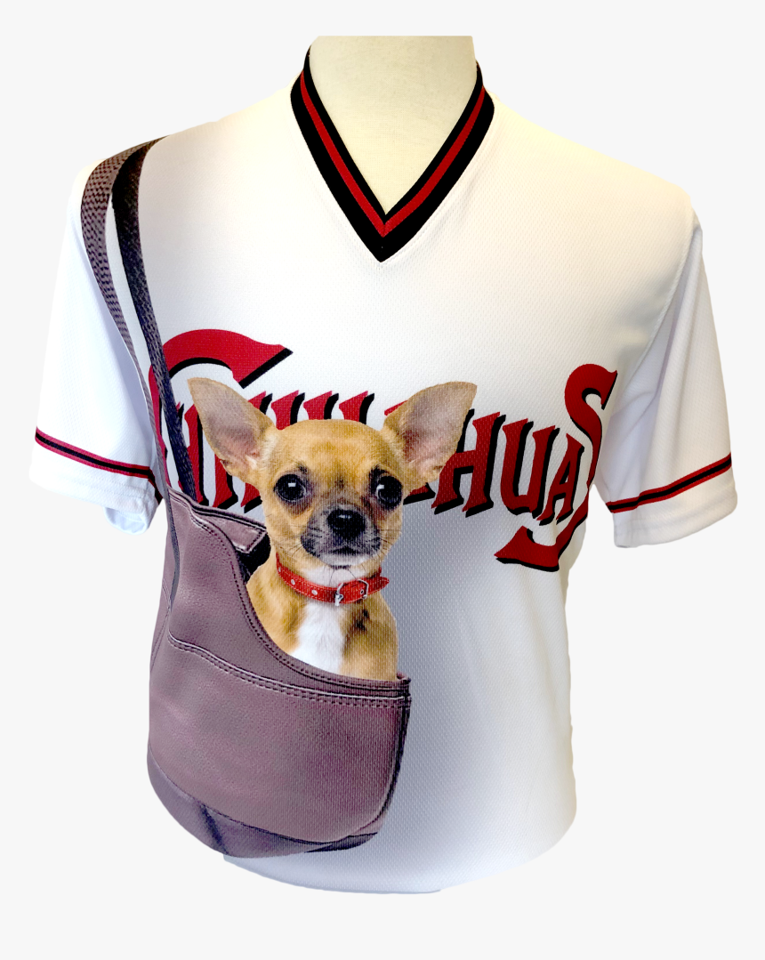 Chihuahua Png, Transparent Png, Free Download